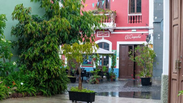 sataute-impulsa-comercio-el-despacho-picoteo-cafe1